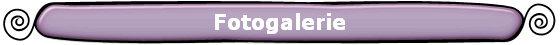 Fotogalerie